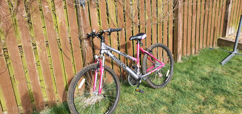 vertical edge runner mountain bike